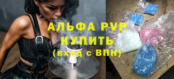 стаф Алексин