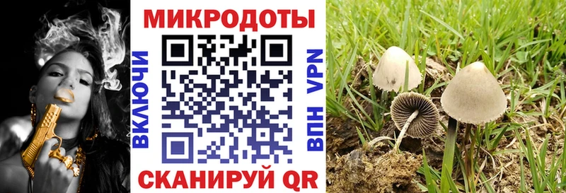 МЕГА ТОР  Сургут  Псилоцибиновые грибы Cubensis 